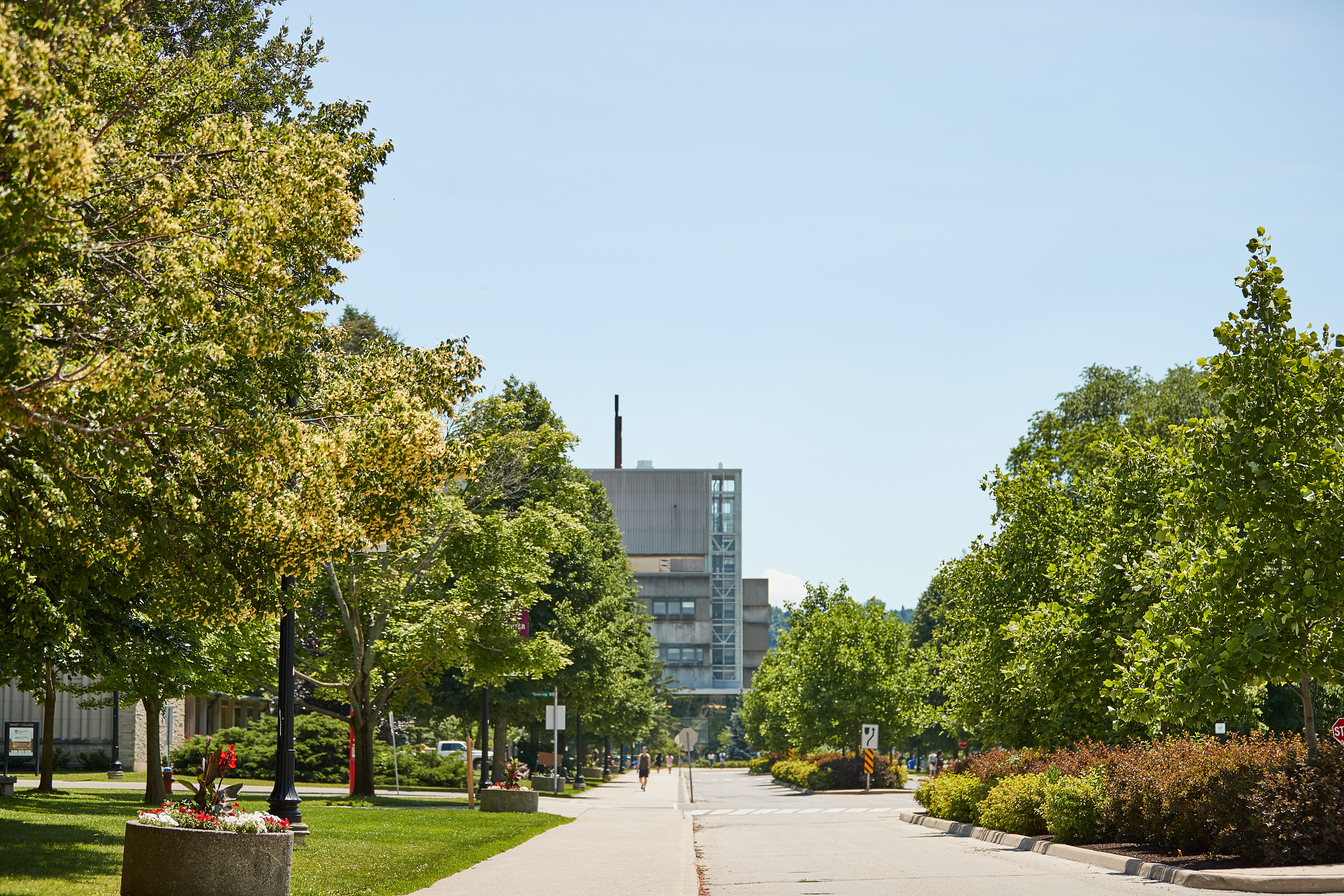 McMaster in the summer
